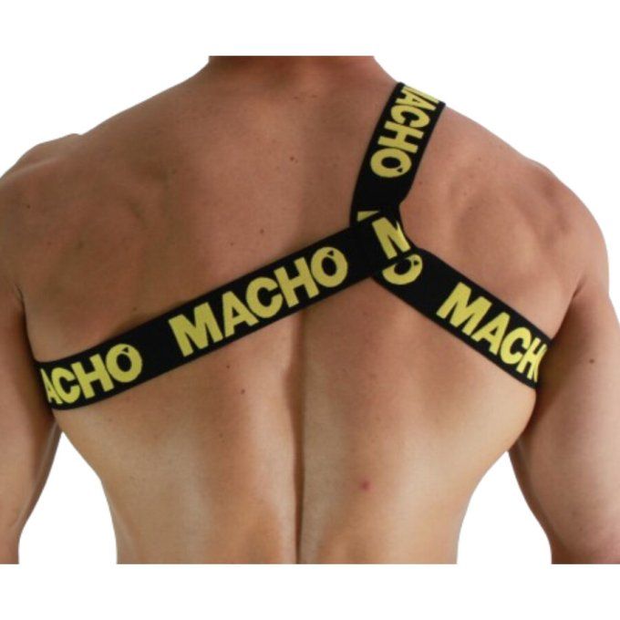 MACHO - HARNAIS ROMAIN JAUNE