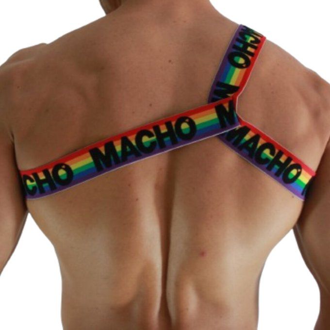 MACHO - HARNAIS ROMAIN PRIDE