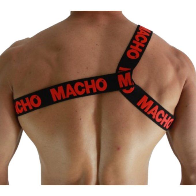 MACHO - HARNAIS ROMAIN ROUGE