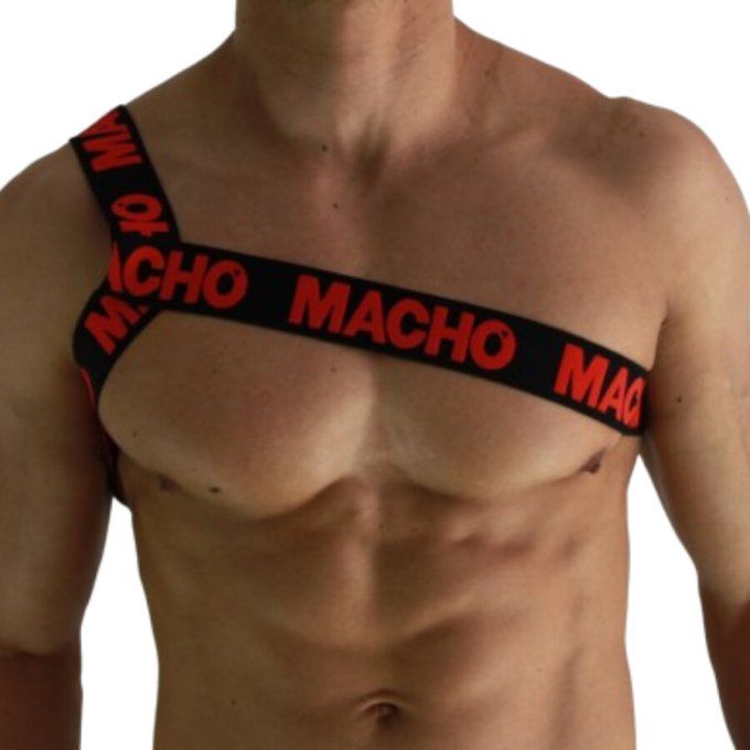 MACHO - HARNAIS ROMAIN ROUGE