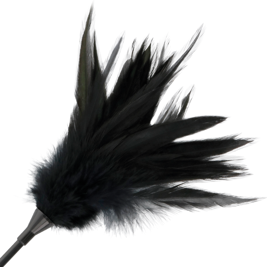 Fouet à Plumes Noires – Douceur et Domination Sensuelle – Image 3