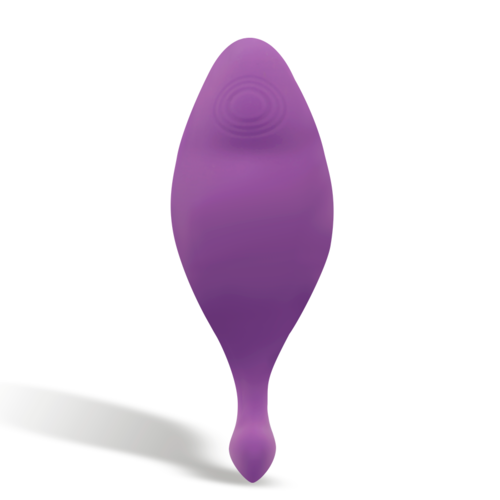 INTENSE - TÉLÉCOMMANDE MINDY PANTIE VIOLET4