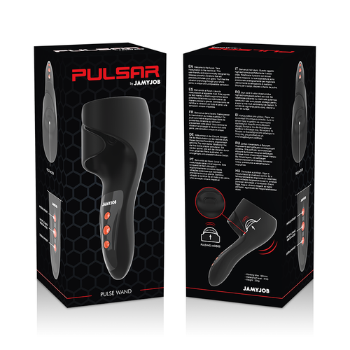 MODES DE VIBRATION ET DE PULSATION DE LA BAGUETTE PULSAR6