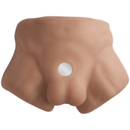 SILEXD - TORSE D'HOMME RÉALISTE APOLLO S CARAMEL2